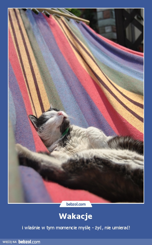 Wakacje 