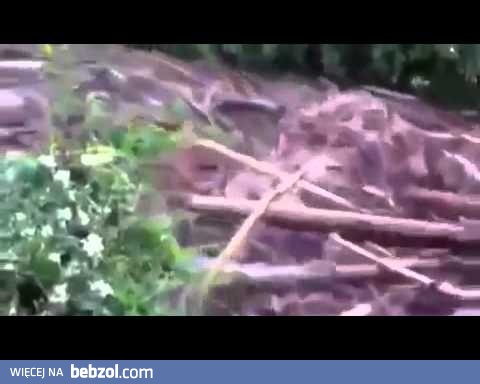 Rzeka zmienia się w kataklizm