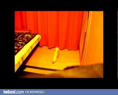 How to throw a bottle on the ground.