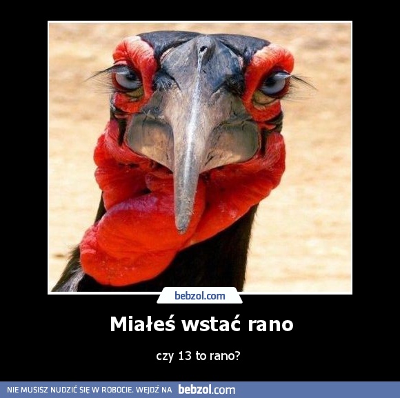 Miałeś wstać rano