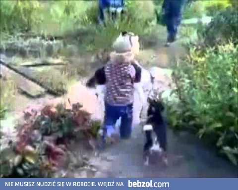 Dziewczynka ratuje kota