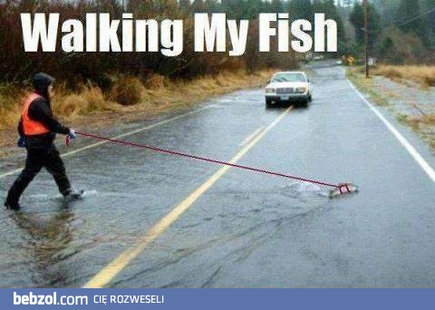 Z rybką na spacerze