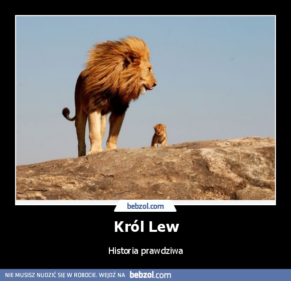 Król Lew