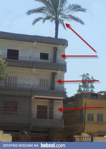 Czapki z głów dla architekta