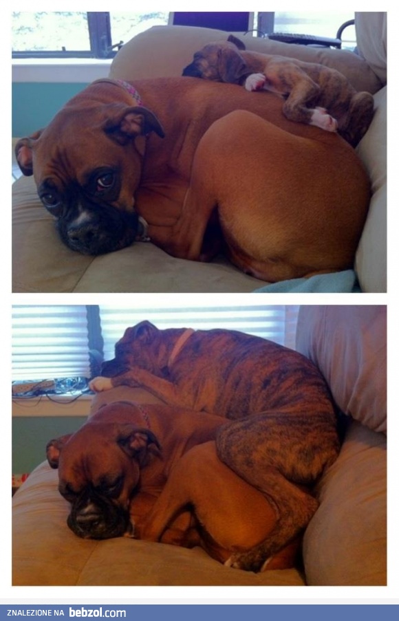 3 miesiące później