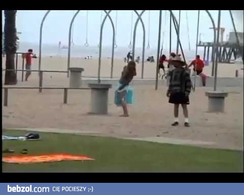 Podali mewom środek na przeczyszcenie