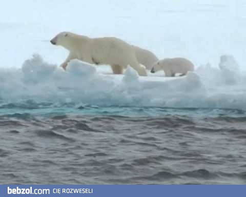 Każdy czasem potrzebuje pomocy