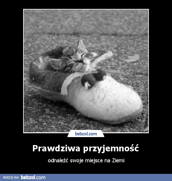 Prawdziwa przyjemność 