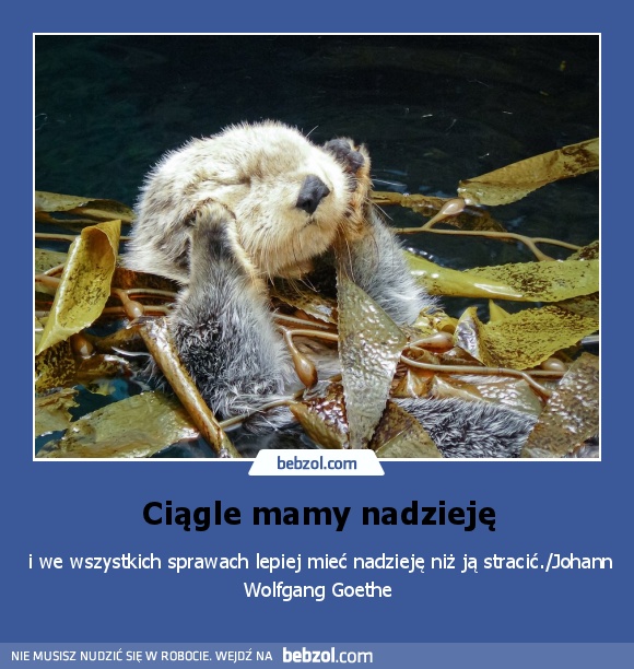 Ciągle mamy nadzieję