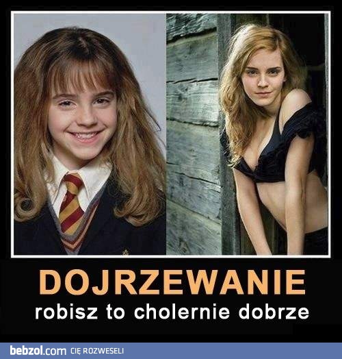 Dojrzewanie