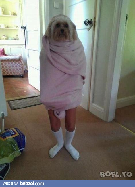 Nawet nie wiem jak to nazwać