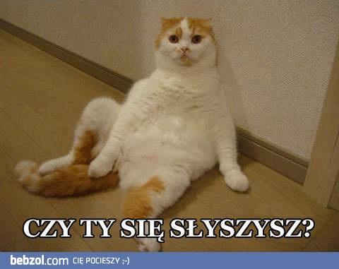Czy ty się słyszysz?