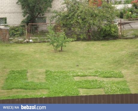 Mam dziwnych sąsiadów