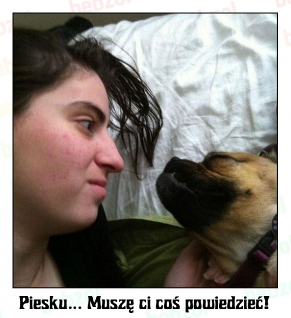 Niezwykła reakcja psa na złą wiadomość