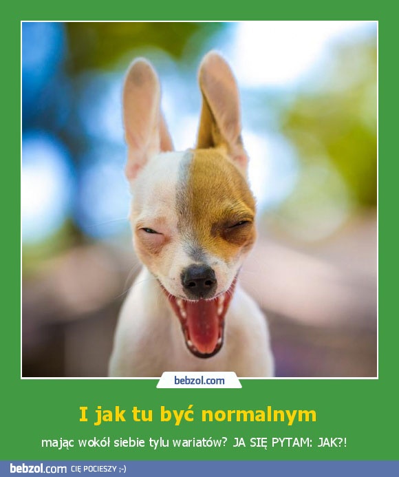 I jak tu być normalnym