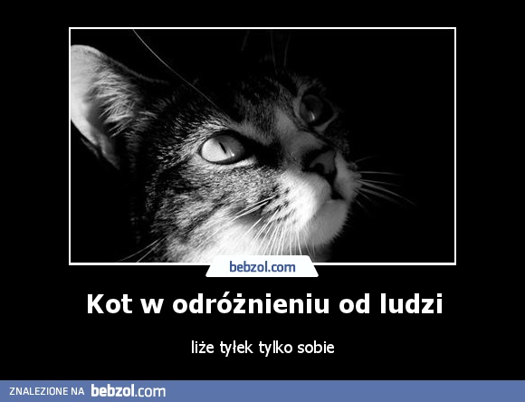 Kot w odróżnieniu od ludzi