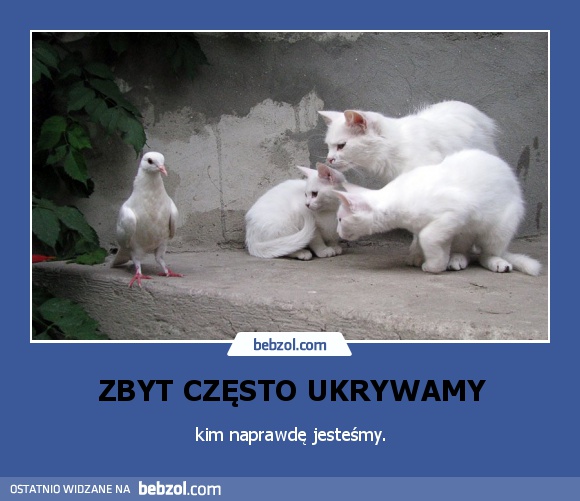 ZBYT CZĘSTO UKRYWAMY