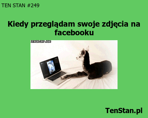 Kiedy przeglądam swoje zdjęcia na Facebooku