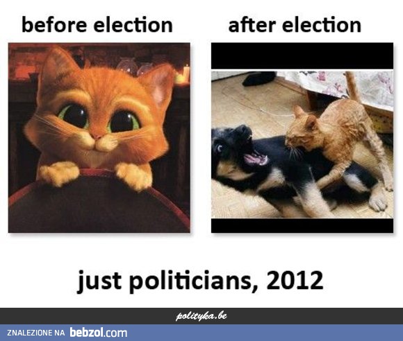 Prawda o politykach...