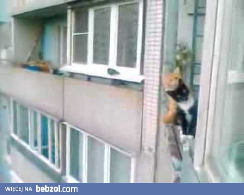 Sąsiedzi zawsze mają na ciebie oko