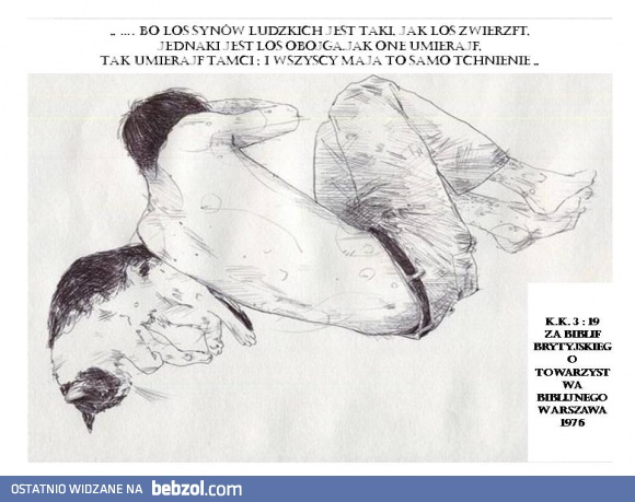 Wszyscy jesteśmy stworzeni do milości