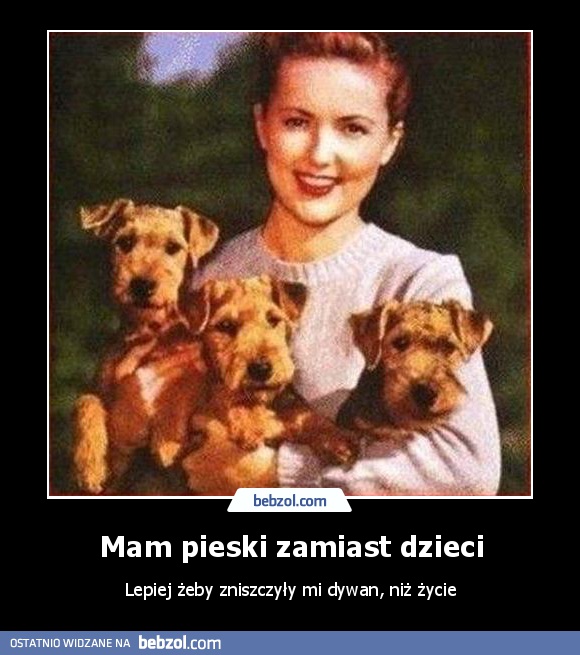 Mam pieski zamiast dzieci