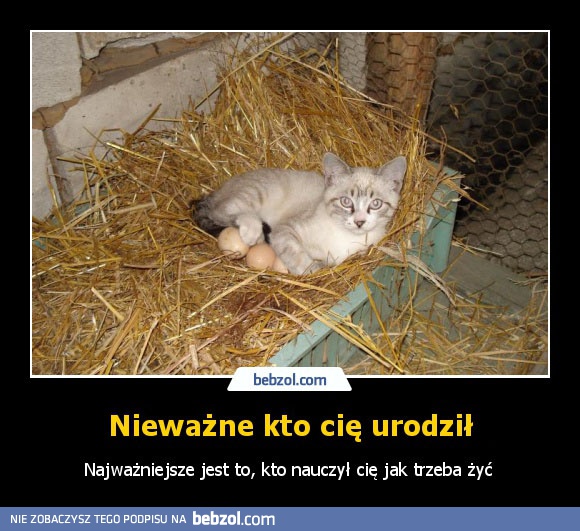 Nieważne kto  cię urodził