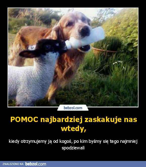 POMOC najbardziej zaskakuje nas wtedy,