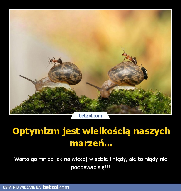 Optymizm jest wielkością naszych marzeń...