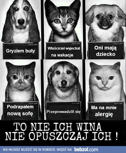 Nie opuszczaj pupili