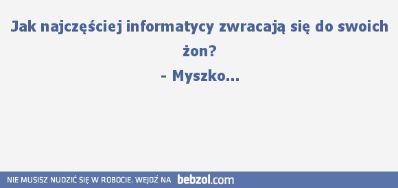 Informatycy