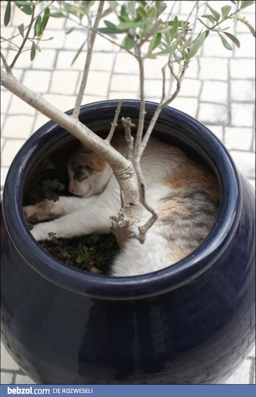 Najwygodniejsze miejsce w całym domu