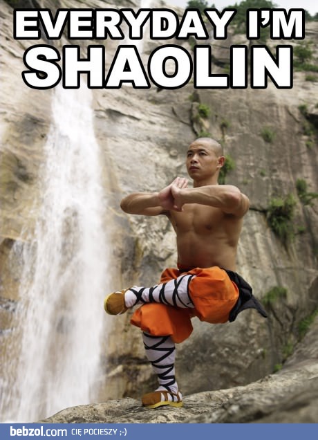 Everyday I'm Shaolin