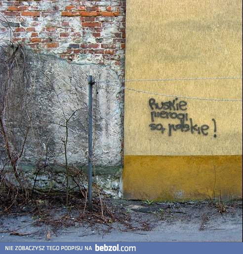 Zaskakująca prawda o ruskich