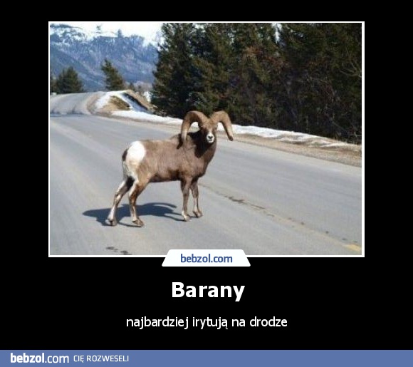Barany