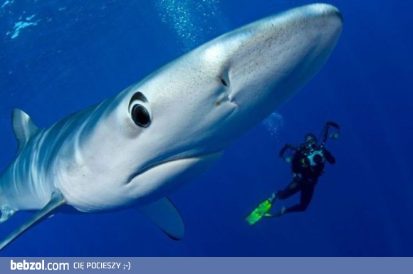 Zdjątko z zaskoczenia