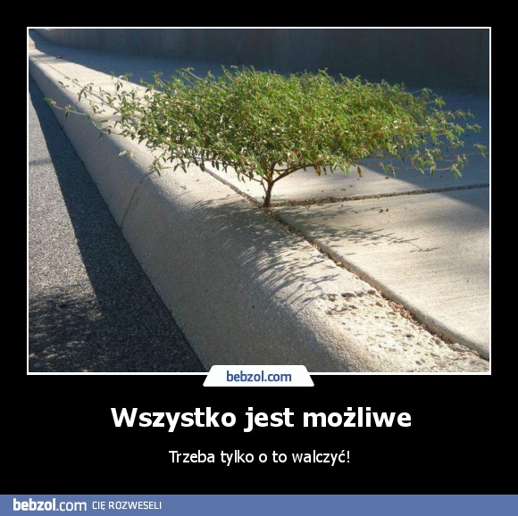 Wszystko jest możliwe