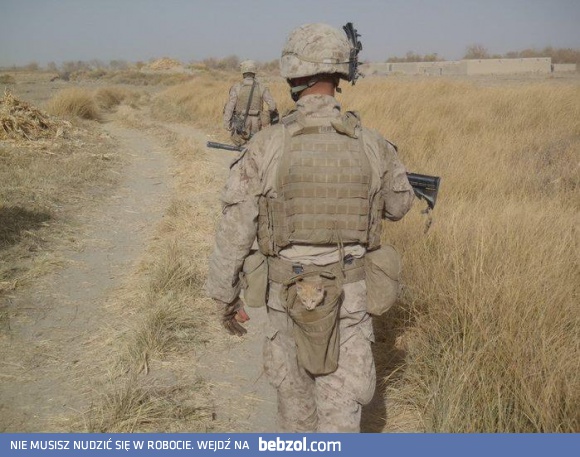 Zwierzak do zadań specjalnych