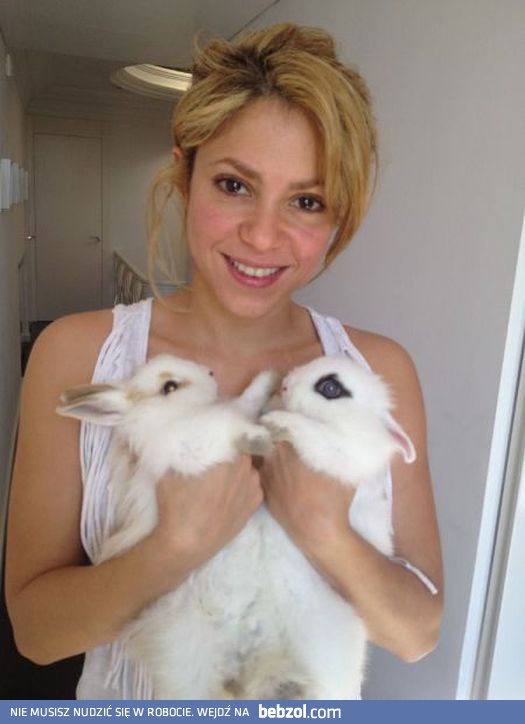 Chcesz pogłaskać moje króliczki?