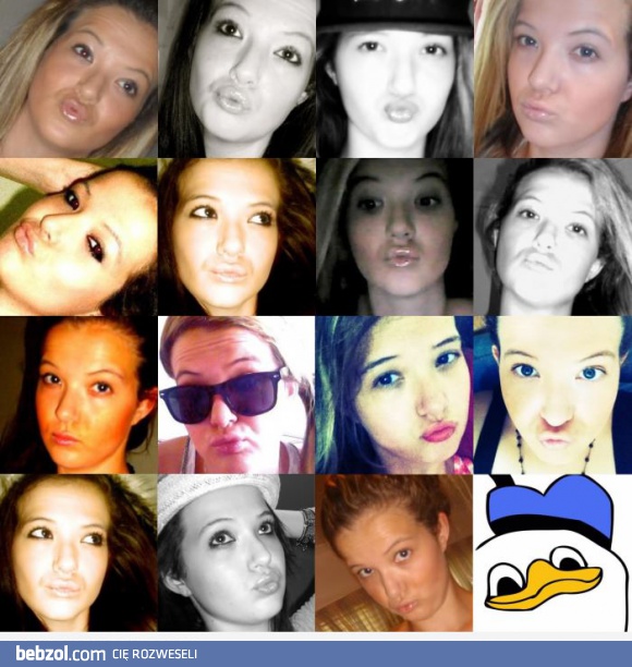 Jeden kaczor tu nie pasuje