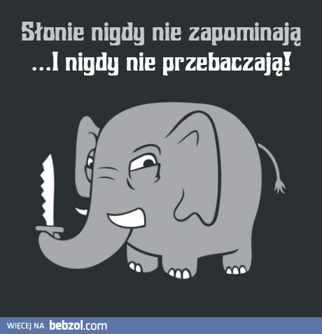 Jestem jak słoń!