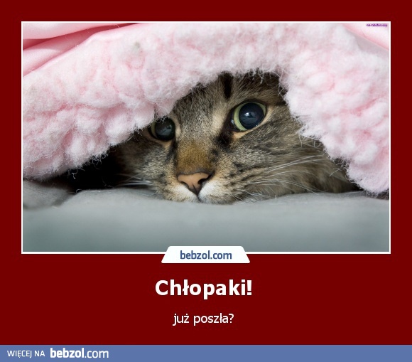 Chłopaki!