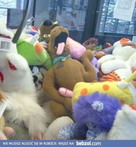 Scooby, co ty tam wyprawiasz?!