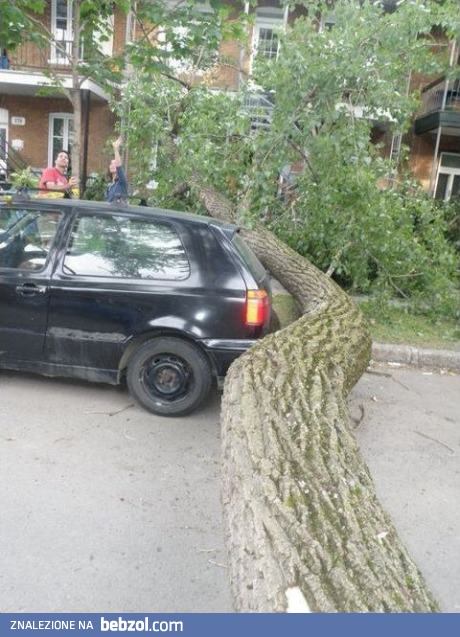 Niesamowity szczęściarz