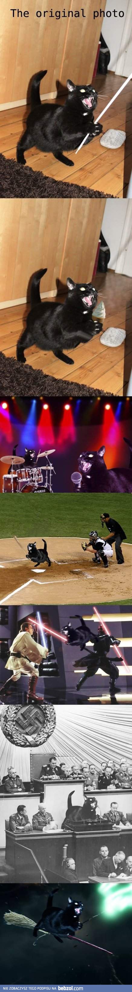 Nie dali kotkowi spokoju