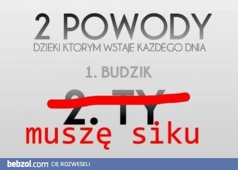 2 powody dla których...