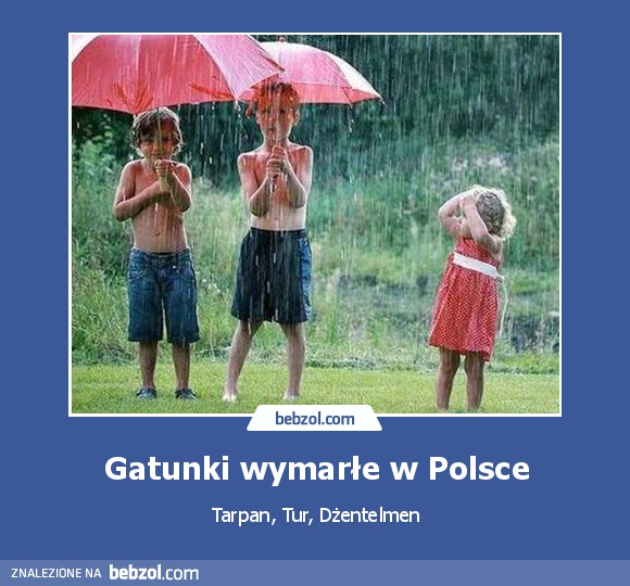 Gatunki wymarłe w Polsce