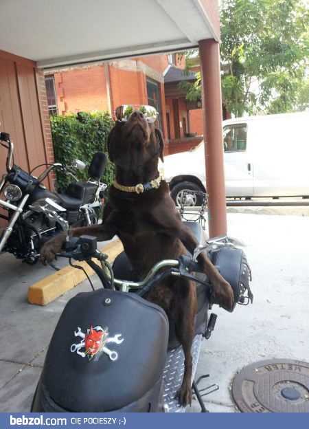 Pogódź się z tym!