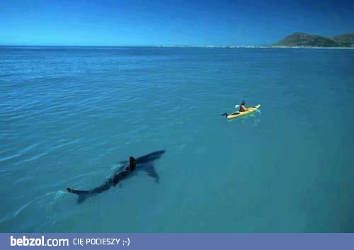 Takie tam, na kajakach