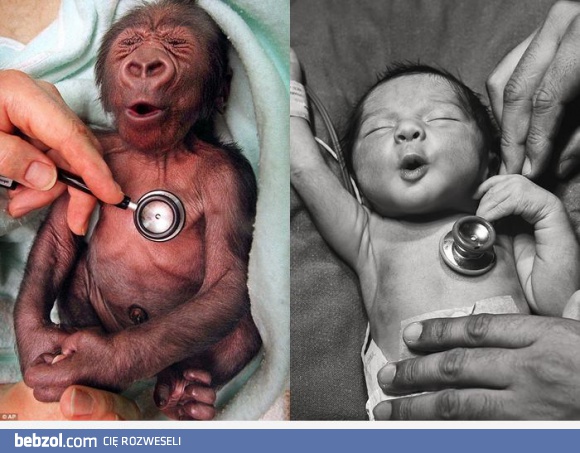 Uderzające podobieństwo